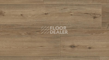 Кварцвиниловые полы Gerflor Creation 70 0557 Gilmore фото 1 | FLOORDEALER